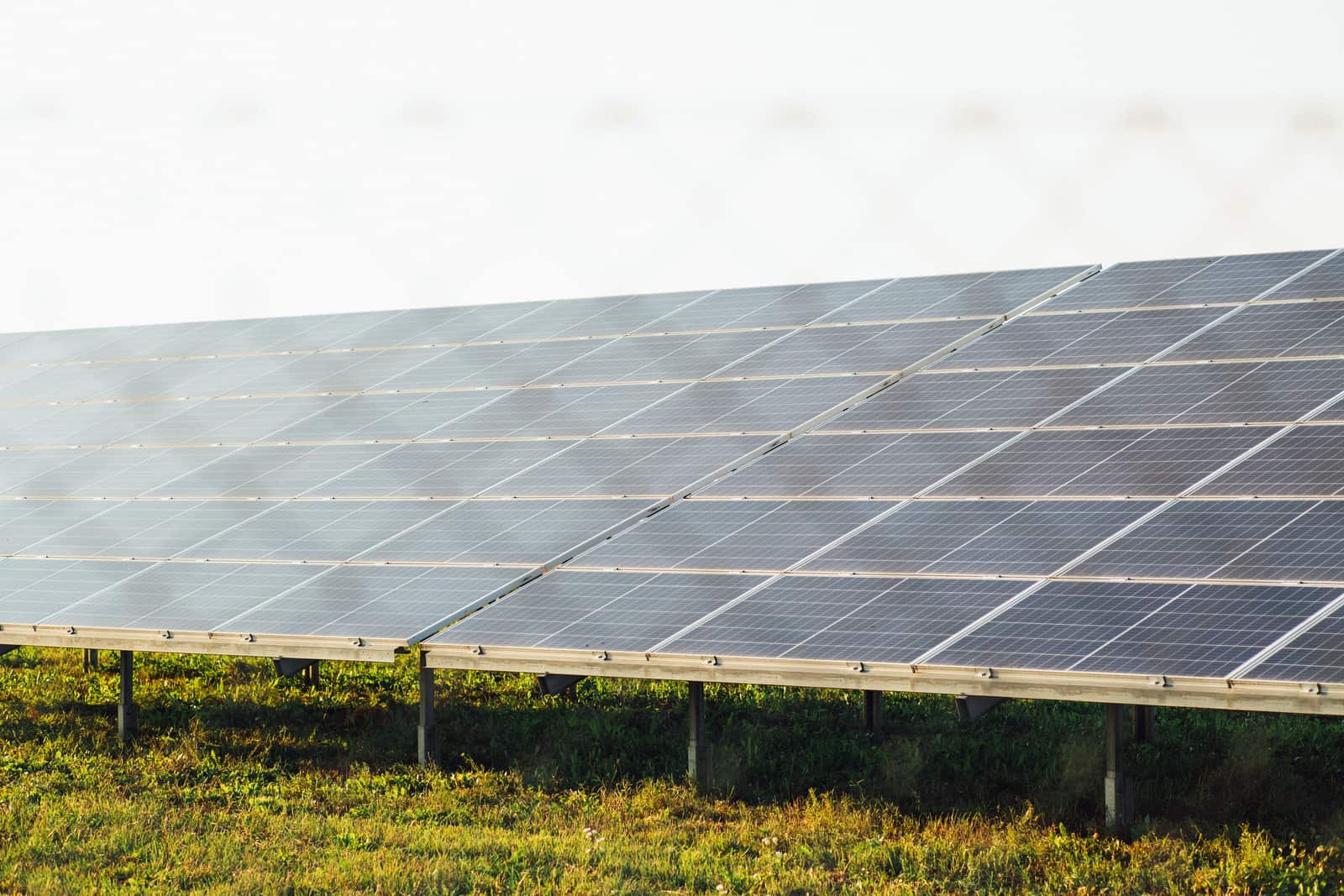 A portable solar panel set up on grass in bright sunlight.